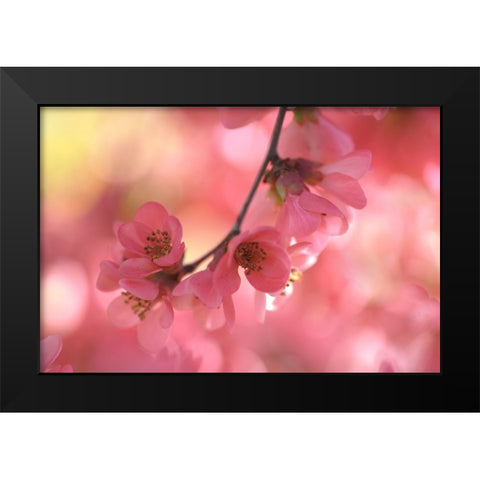 Sensual Touch of Spring Black Modern Wood Framed Art Print by Jenny Rainbow Fine Art