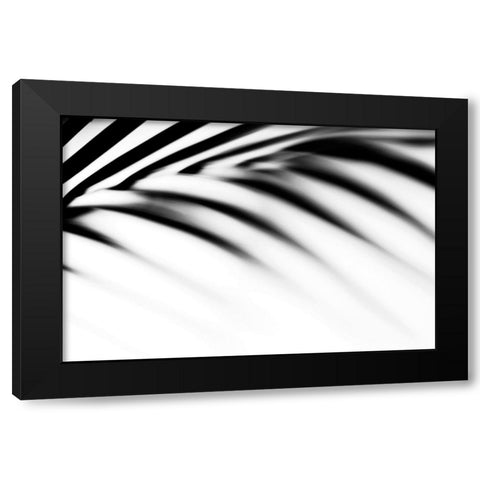 Shadow Palm Leaf Black Modern Wood Framed Art Print with Double Matting by Jenny Rainbow Fine Art