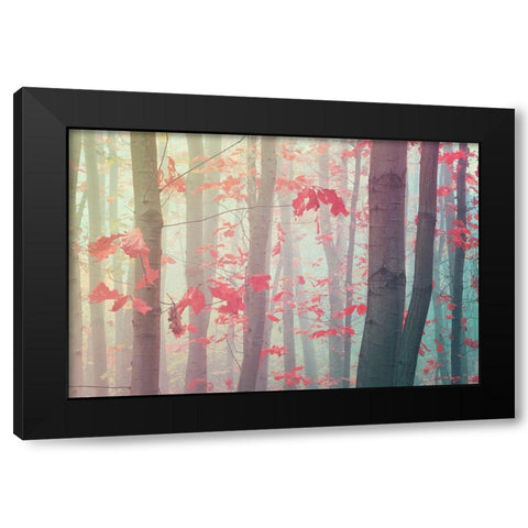 Splashes Of Autumn Colors Black Modern Wood Framed Art Print by Jenny Rainbow Fine Art