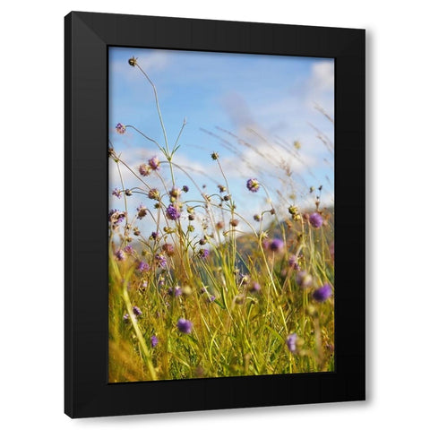 Sunny Bliss Black Modern Wood Framed Art Print with Double Matting by Jenny Rainbow Fine Art