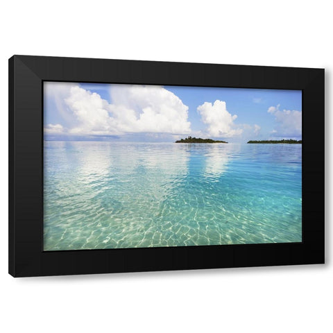 Sunny Invitation Black Modern Wood Framed Art Print by Jenny Rainbow Fine Art