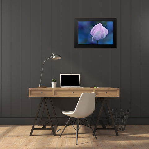 Tender Morning with Lotus Black Modern Wood Framed Art Print by Jenny Rainbow Fine Art