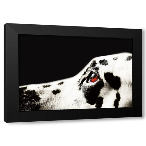 The Amber Eye of Dalmatian Dog Black Modern Wood Framed Art Print with Double Matting by Jenny Rainbow Fine Art