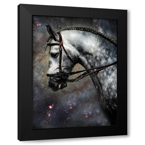 The Horse Among the Stars Black Modern Wood Framed Art Print by Jenny Rainbow Fine Art