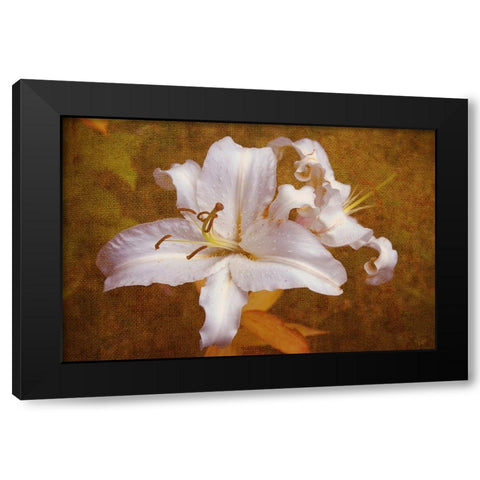 White Llilies Black Modern Wood Framed Art Print with Double Matting by Jenny Rainbow Fine Art