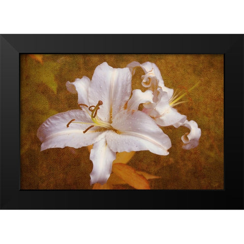 White Llilies Black Modern Wood Framed Art Print by Jenny Rainbow Fine Art