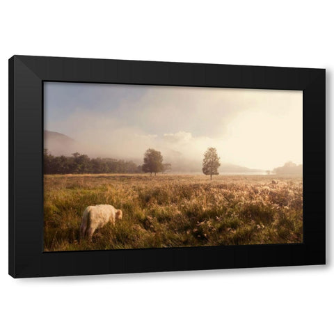 Dreamy Fields Black Modern Wood Framed Art Print by Jenny Rainbow Fine Art