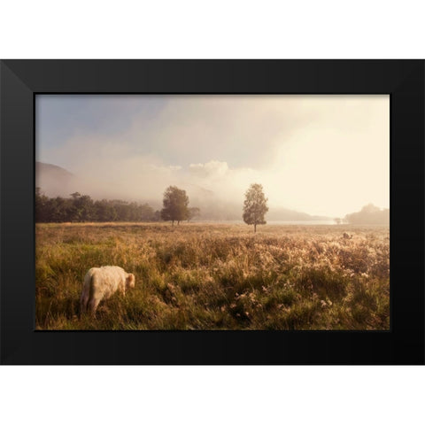 Dreamy Fields Black Modern Wood Framed Art Print by Jenny Rainbow Fine Art
