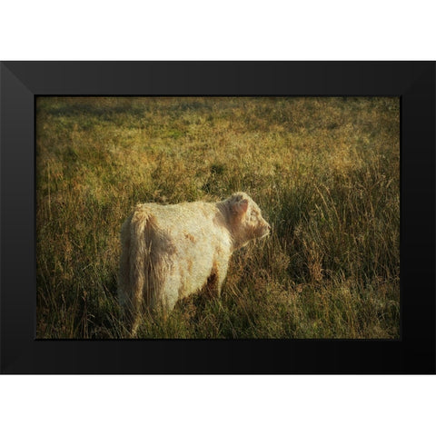 Furry Baby of Highland Cow Black Modern Wood Framed Art Print by Jenny Rainbow Fine Art
