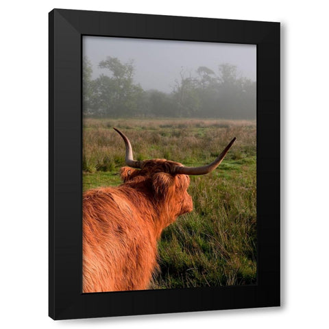 Highland Cow Black Modern Wood Framed Art Print with Double Matting by Jenny Rainbow Fine Art