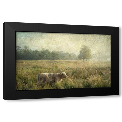 Little Highlander Black Modern Wood Framed Art Print by Jenny Rainbow Fine Art