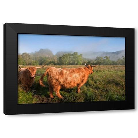 Rural Idyll Black Modern Wood Framed Art Print with Double Matting by Jenny Rainbow Fine Art