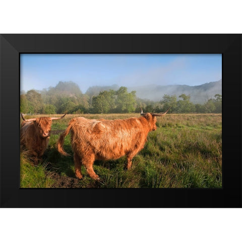 Rural Idyll Black Modern Wood Framed Art Print by Jenny Rainbow Fine Art