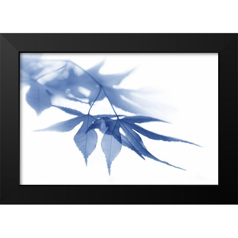 Blue Leaves 1 Black Modern Wood Framed Art Print by Schell, Jennie Marie