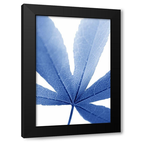 Blue Leaves 2 Black Modern Wood Framed Art Print with Double Matting by Schell, Jennie Marie