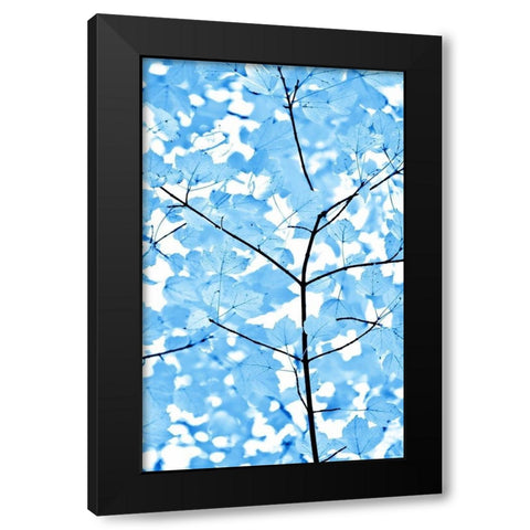 Blue Leaves 3 Black Modern Wood Framed Art Print by Schell, Jennie Marie