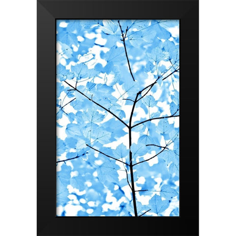 Blue Leaves 3 Black Modern Wood Framed Art Print by Schell, Jennie Marie