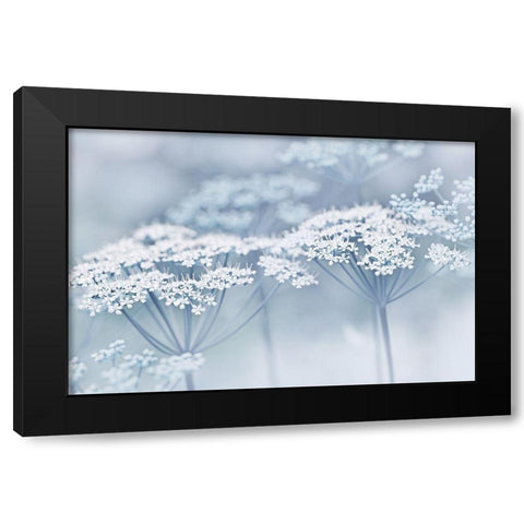 Blue Wildflowers Black Modern Wood Framed Art Print with Double Matting by Schell, Jennie Marie