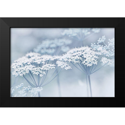 Blue Wildflowers Black Modern Wood Framed Art Print by Schell, Jennie Marie