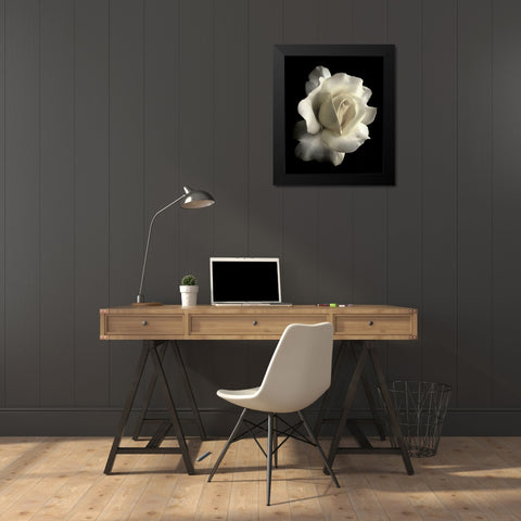 Rose White 1 Black Modern Wood Framed Art Print by Schell, Jennie Marie