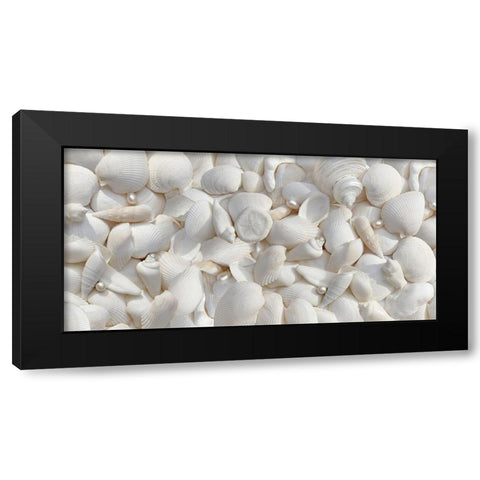 Seashells 2 Black Modern Wood Framed Art Print by Schell, Jennie Marie