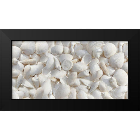 Seashells 2 Black Modern Wood Framed Art Print by Schell, Jennie Marie