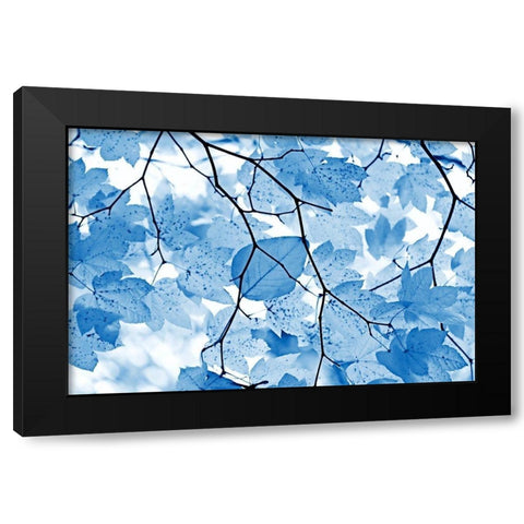 Blue Leaves 4 Black Modern Wood Framed Art Print with Double Matting by Schell, Jennie Marie