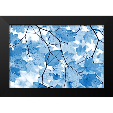 Blue Leaves 4 Black Modern Wood Framed Art Print by Schell, Jennie Marie
