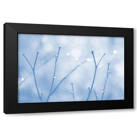 Blue Twigs Abstract Black Modern Wood Framed Art Print by Schell, Jennie Marie