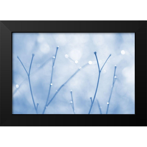 Blue Twigs Abstract Black Modern Wood Framed Art Print by Schell, Jennie Marie