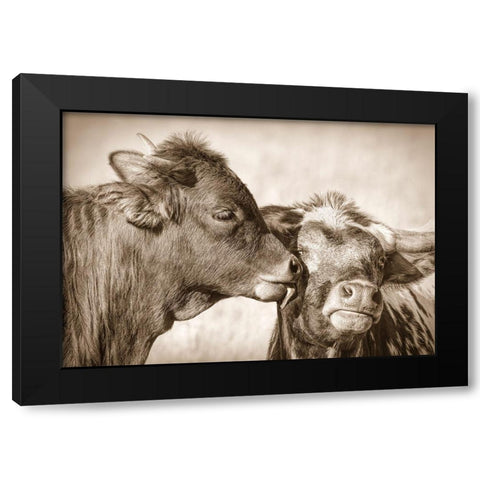 Calf Kiss Sepia Black Modern Wood Framed Art Print by Schell, Jennie Marie