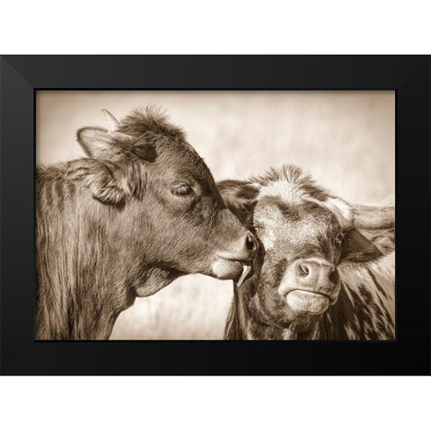 Calf Kiss Sepia Black Modern Wood Framed Art Print by Schell, Jennie Marie