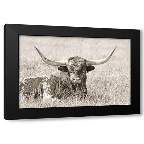 Longhorn Bull Sepia Black Modern Wood Framed Art Print by Schell, Jennie Marie