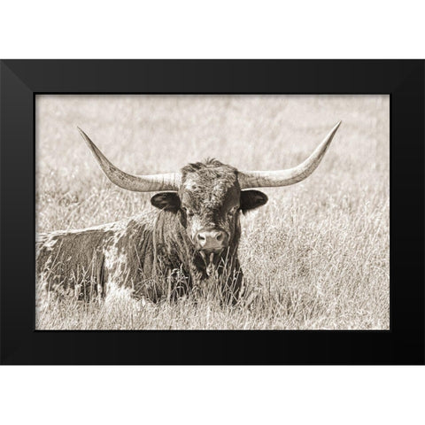 Longhorn Bull Sepia Black Modern Wood Framed Art Print by Schell, Jennie Marie