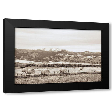 Montana Hayfield Black Modern Wood Framed Art Print with Double Matting by Schell, Jennie Marie