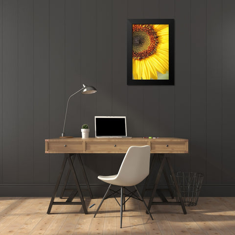 Sunflower Macro Flower Black Modern Wood Framed Art Print by Schell, Jennie Marie