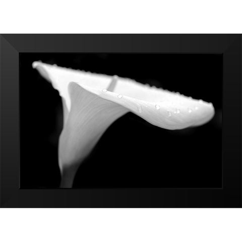 Calla Lily Flower Black and White 2 Black Modern Wood Framed Art Print by Schell, Jennie Marie