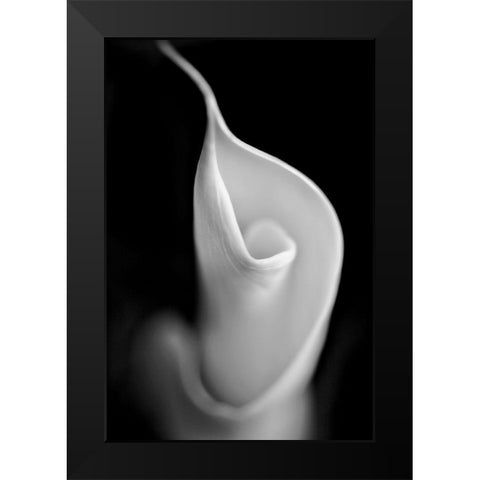 Calla Lily Flower Macro Black and White Black Modern Wood Framed Art Print by Schell, Jennie Marie