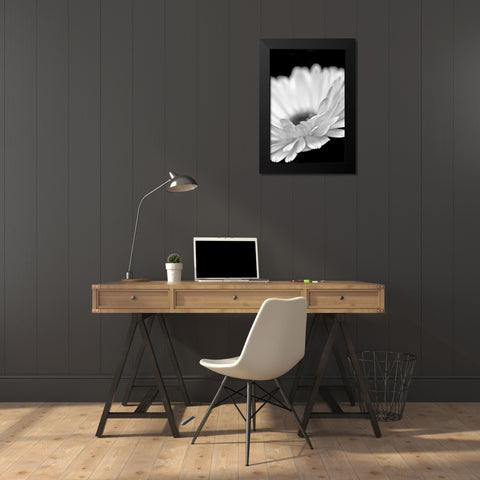 Daisy Flower Macro Black and White 2 Black Modern Wood Framed Art Print by Schell, Jennie Marie