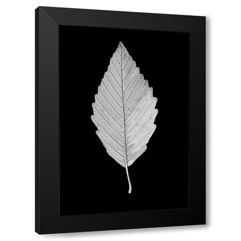 Leaf Black and White 2 Black Modern Wood Framed Art Print by Schell, Jennie Marie