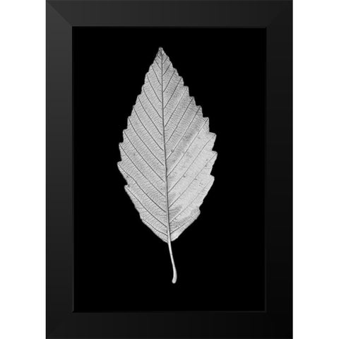 Leaf Black and White 2 Black Modern Wood Framed Art Print by Schell, Jennie Marie