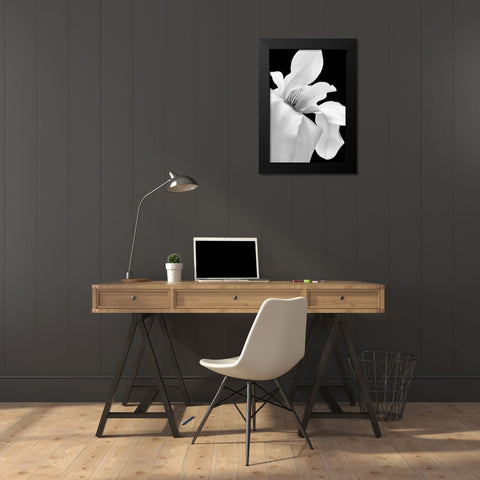 Magnolia Flower Macro Black and White 1 Black Modern Wood Framed Art Print by Schell, Jennie Marie