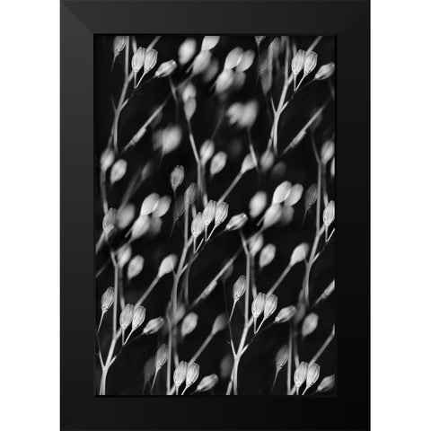 Seed Pods Abstract Black and White Black Modern Wood Framed Art Print by Schell, Jennie Marie