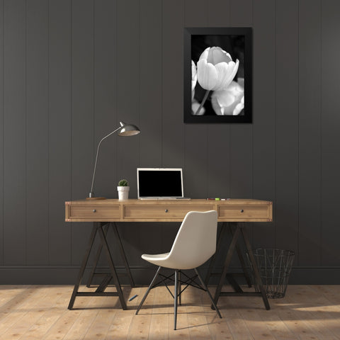 Tulip Flowers Black and White 1 Black Modern Wood Framed Art Print by Schell, Jennie Marie