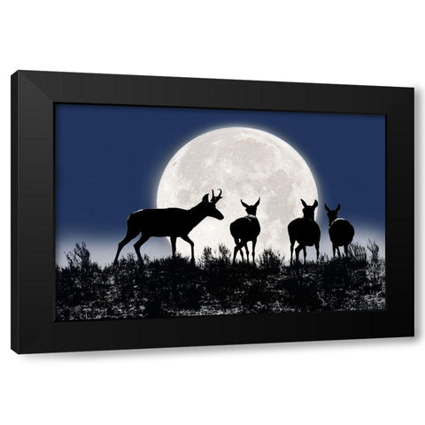 Antelope Pronghorn Silhouettes and Moon Black Modern Wood Framed Art Print by Schell, Jennie Marie