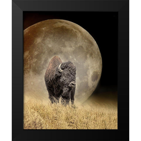 Buffalo Bison and Moon Black Modern Wood Framed Art Print by Schell, Jennie Marie