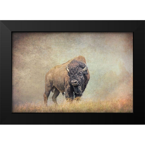 Buffalo Bison on Hill Black Modern Wood Framed Art Print by Schell, Jennie Marie