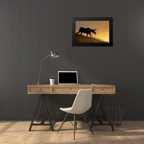 Moose Walking Silhouette Black Modern Wood Framed Art Print by Schell, Jennie Marie
