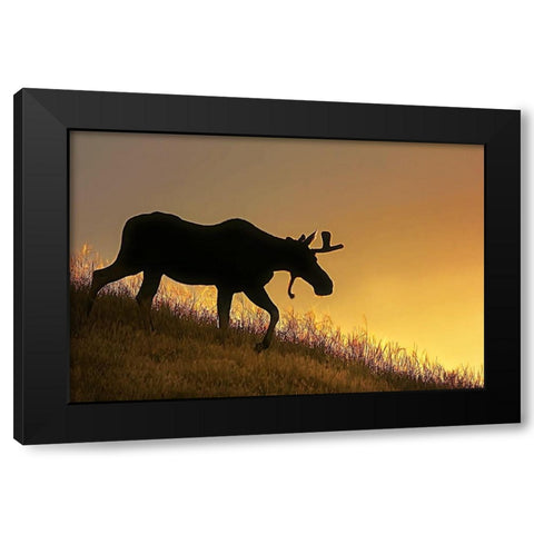 Moose Walking Silhouette Black Modern Wood Framed Art Print by Schell, Jennie Marie