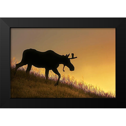 Moose Walking Silhouette Black Modern Wood Framed Art Print by Schell, Jennie Marie